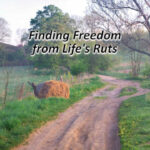 Finding Freedom from Life's Ruts